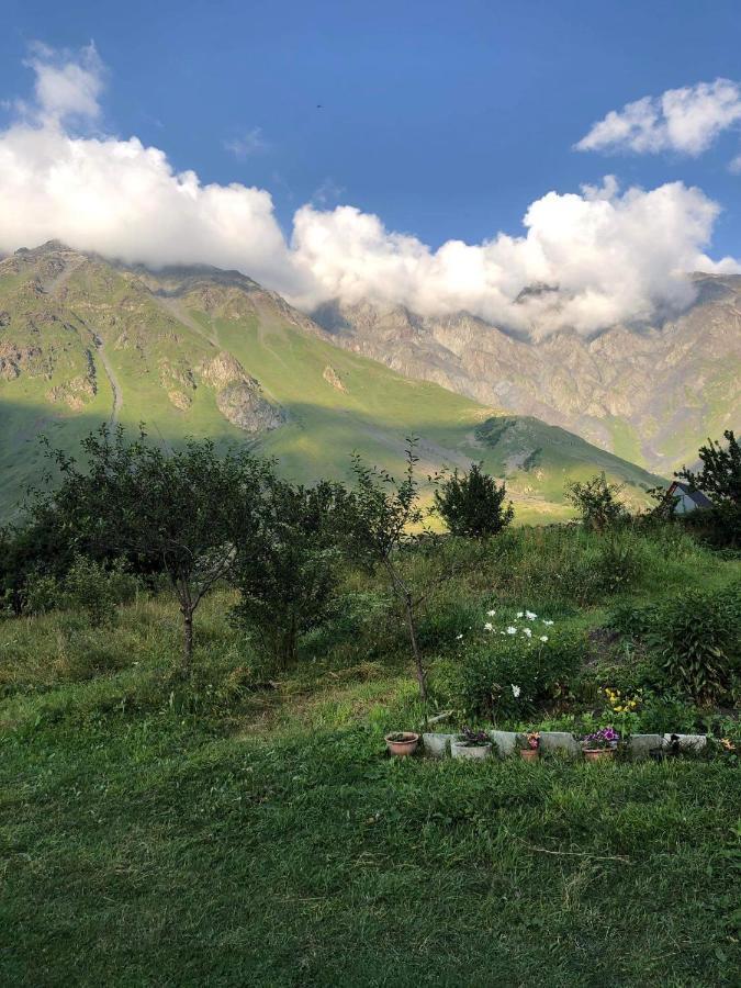 Mikheil Pitskhelauri Guest House Kazbegi Exterior foto